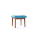 Blue Stool